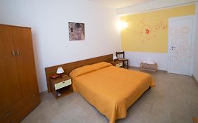 Orange Paradise